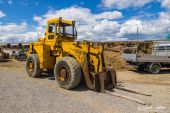 Michigan_55B_Radlader003.jpg