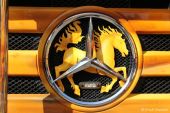 MB_Actros_MPII_Schuierer_Country_Star001.JPG