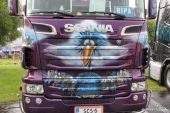Scania_RII560_V8_Sea_Container_Service_Wire_Birds008.JPG