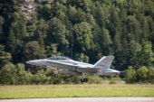 Boeing_FA18_C_Hornet_Swiss_Air_Force005.jpg