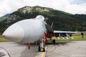 Boeing_FA18_C_Hornet_Swiss_Air_Force047.jpg