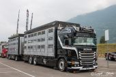 Scania_GII490_Streamline_Roesch.jpg